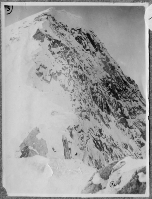 Adamello da Monte Falcone