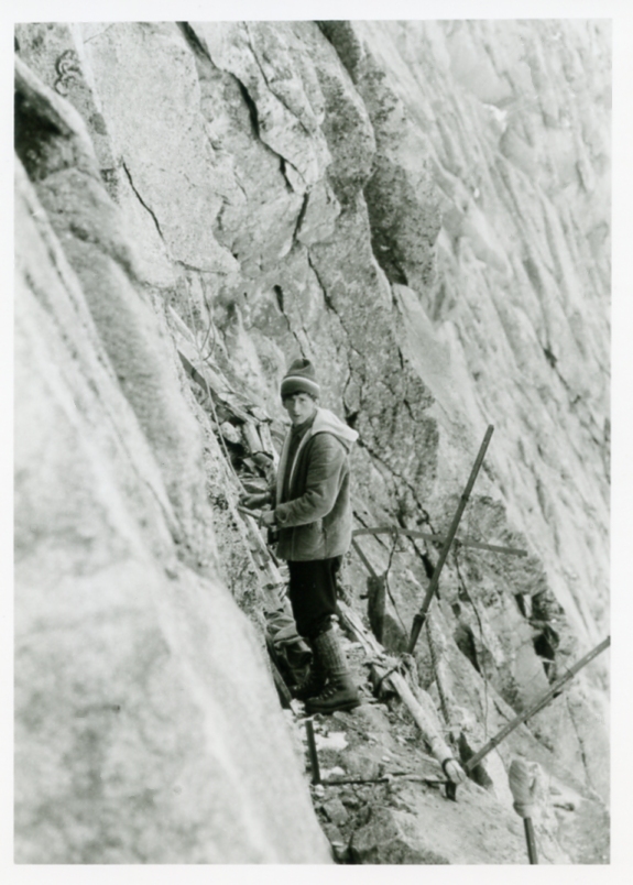 Federici A. Faustinelli