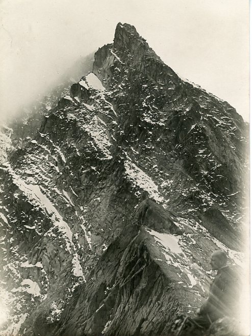 Adamello