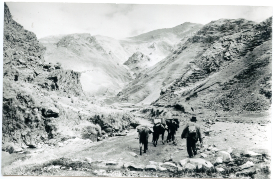Strada incaica