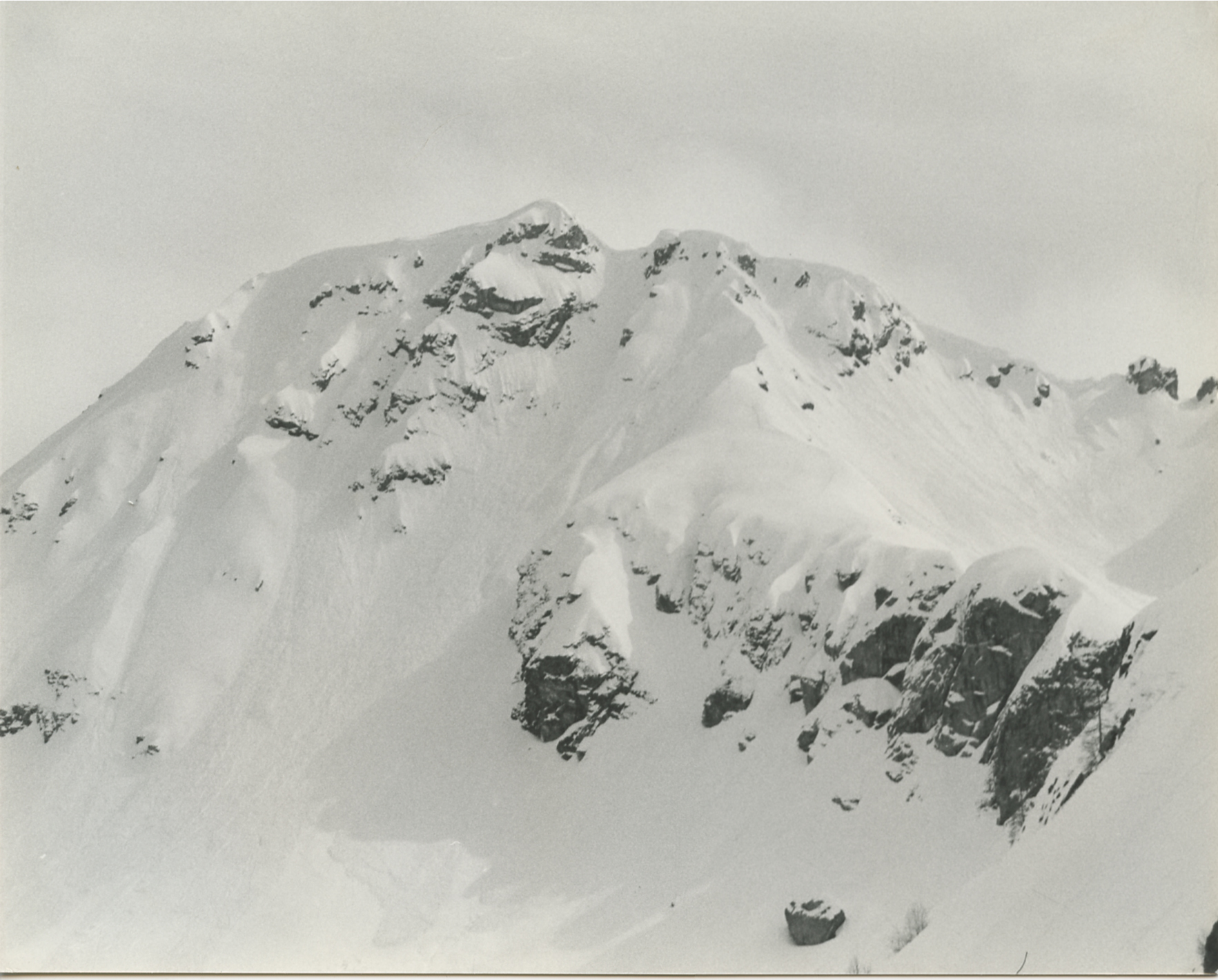Adamello