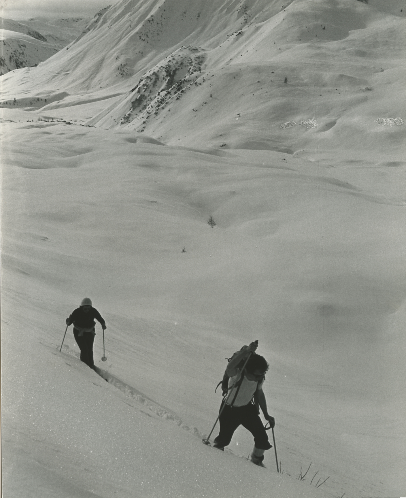 Scialpinisti