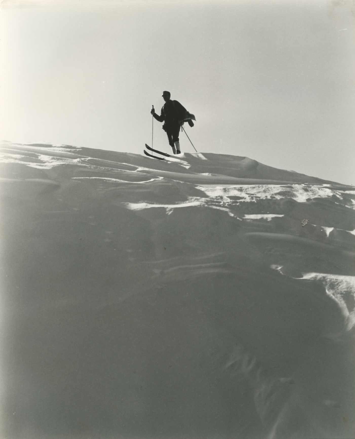 Scialpinista