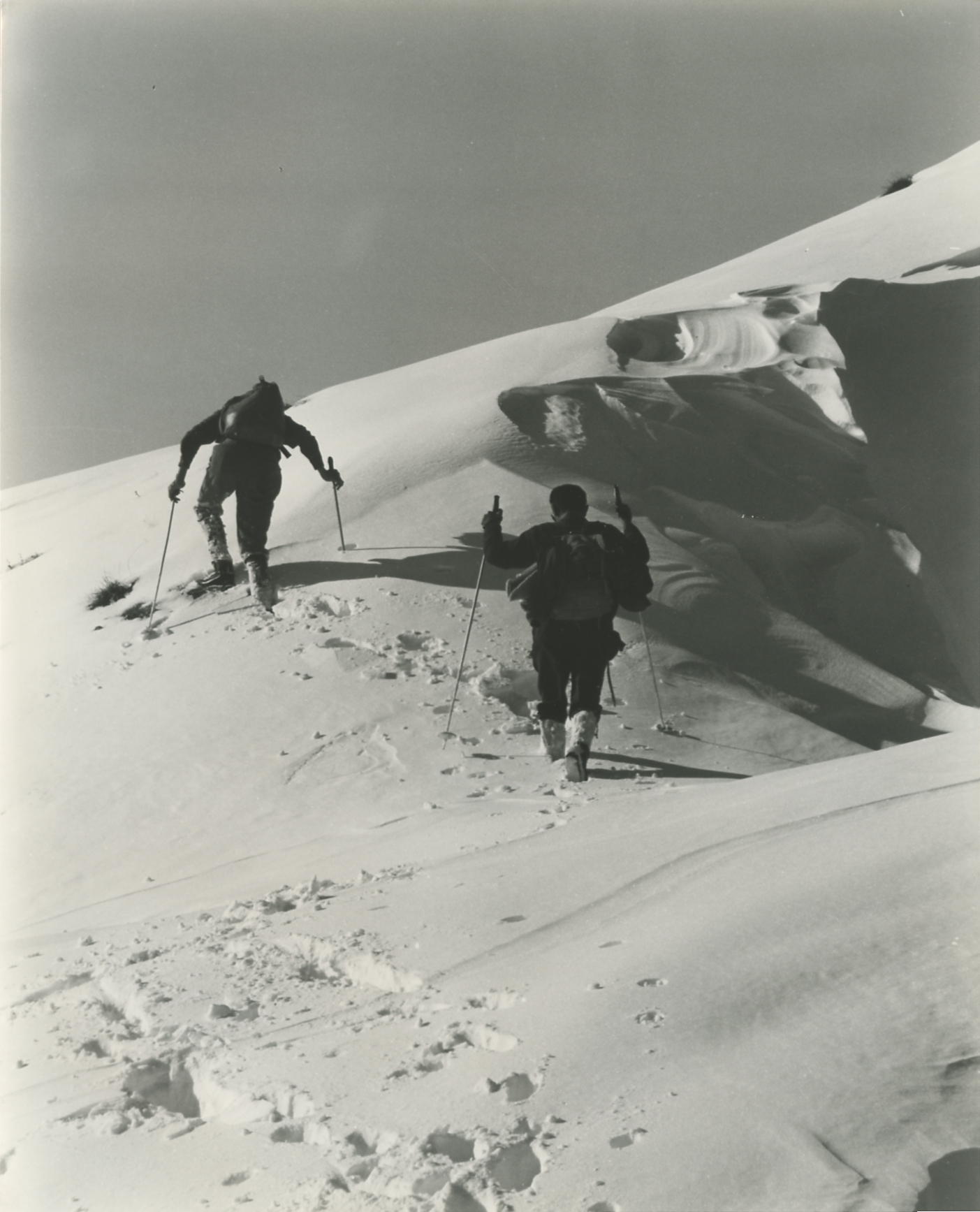 Alpinisti