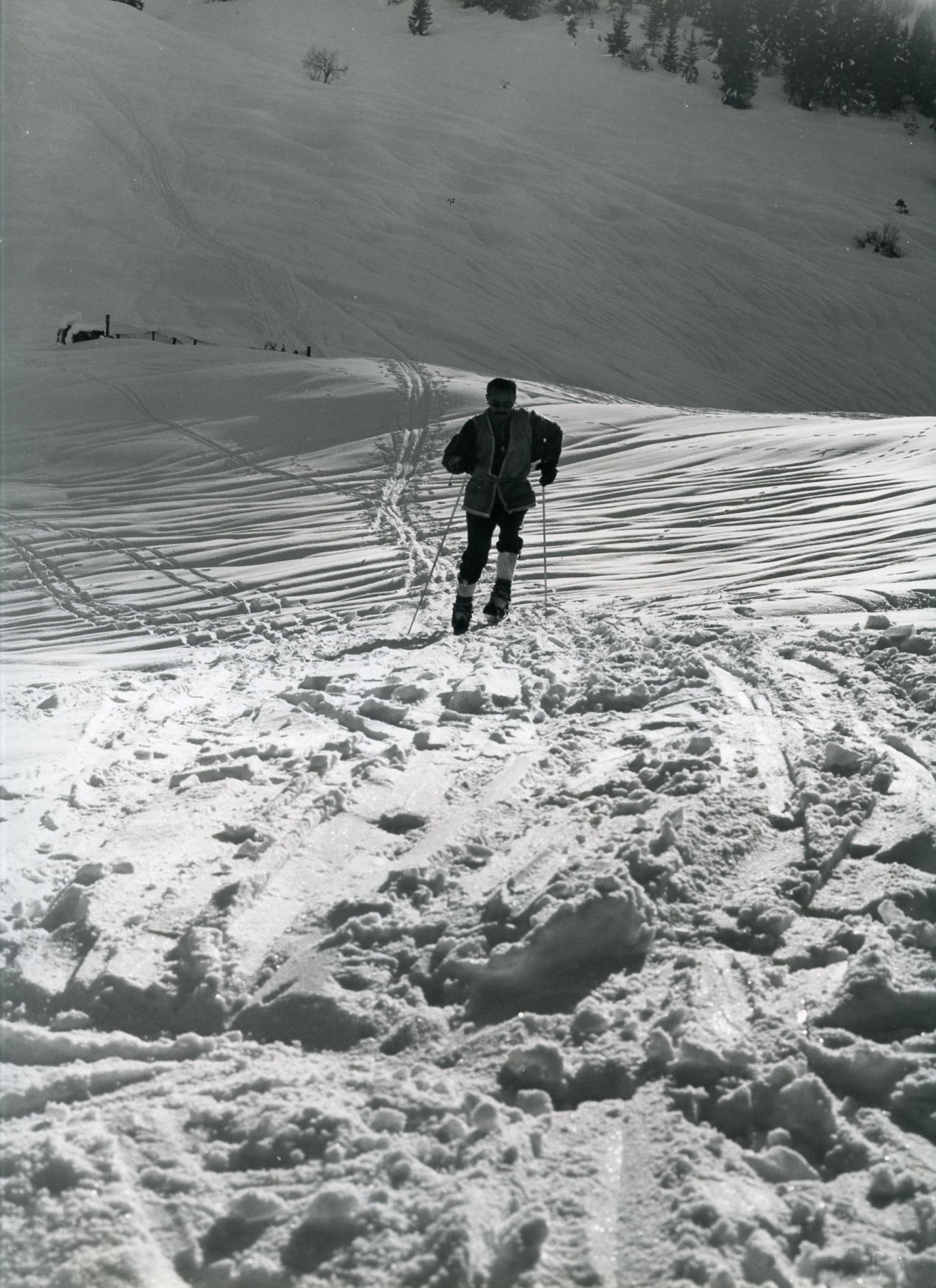 Scialpinista